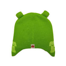 Load image into Gallery viewer, Duo Crisis Beanie Green
